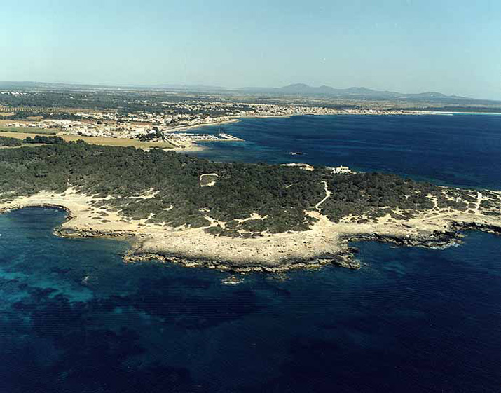 Caló En Timo