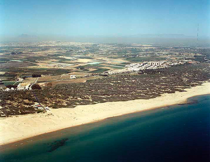 Playa de El Campo / El Camp en Guardamar del Segura - imagen 2