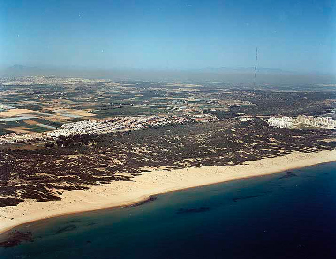 Playa de El Campo / El Camp en Guardamar del Segura - imagen 4