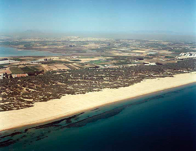 Playa de El Campo / El Camp en Guardamar del Segura - imagen 5