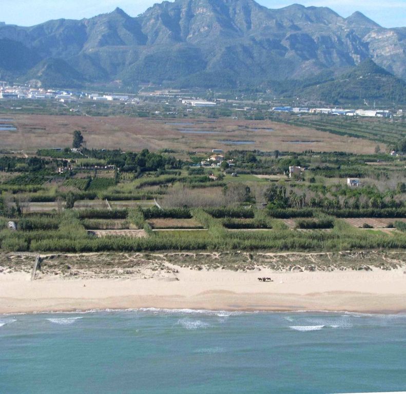 Playa de L'Ahuir en Gandia - imagen 16