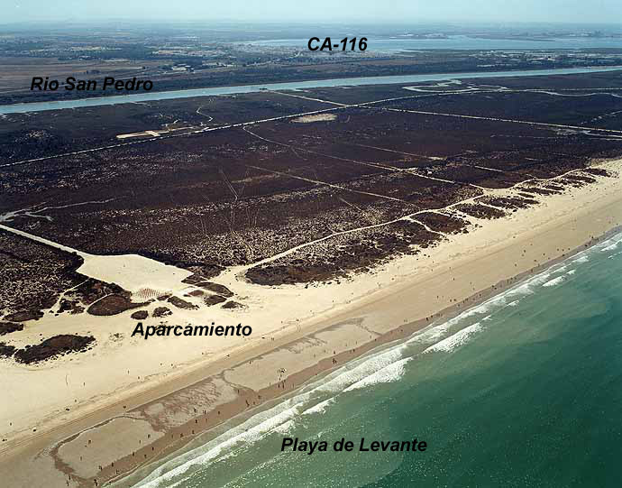 Levante / Los Toruños