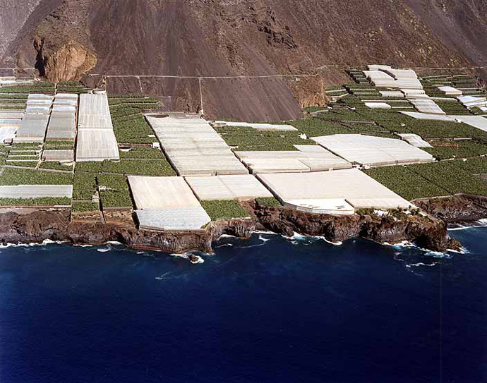 Pelota Bayana / Playa Bayana