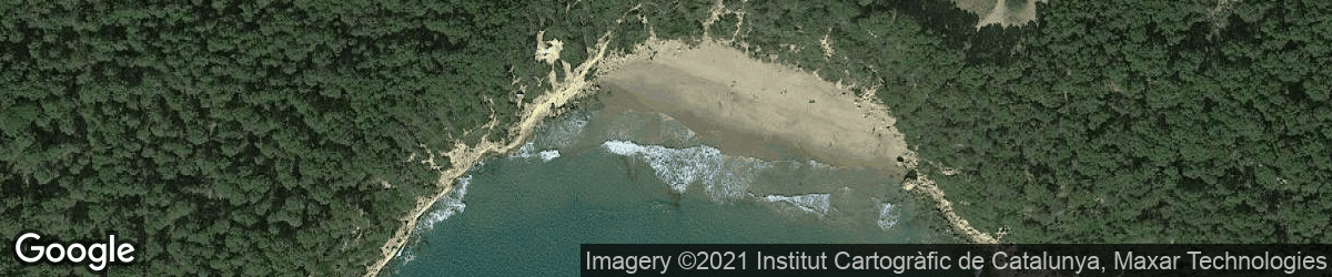 Fonda / Cala Waikiki / 